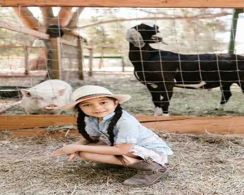 胰岛素生殖血清试管代孕多少钱
